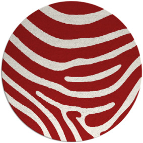 Proud Zebra Rug