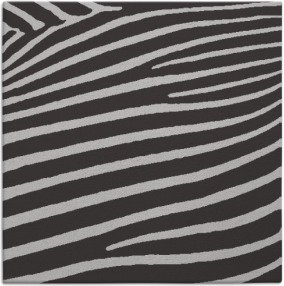 Zebra Rug